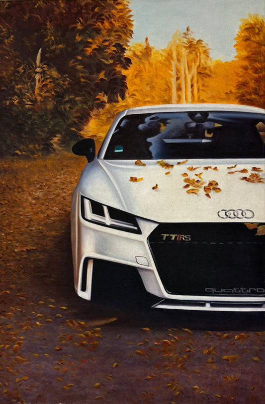 Autumn Elegance: Audi in the Golden Field